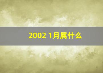 2002 1月属什么